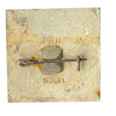 Значок На страже Родины (вид 2)