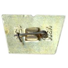 Значок И.Н.Ульянов — русский педагог (вид 2)