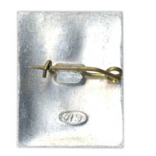 Значок Музей А.В.Суворова (вид 2)