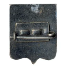 Значок Кострома (вид 2)