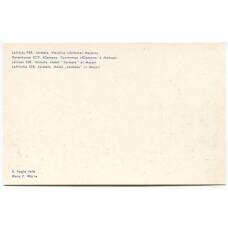 Открытка Юрмала. Гостиница «Юрмала» в Майори (вид 2)