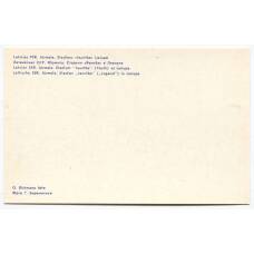 Открытка Юрмала — Стадион  «Яуниба» в Лиелупе (вид 2)