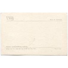 Открытка Липецк — Грязелечебница курорта (вид 2)