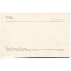 Открытка Липецк — магазин «Универсам» (вид 2)