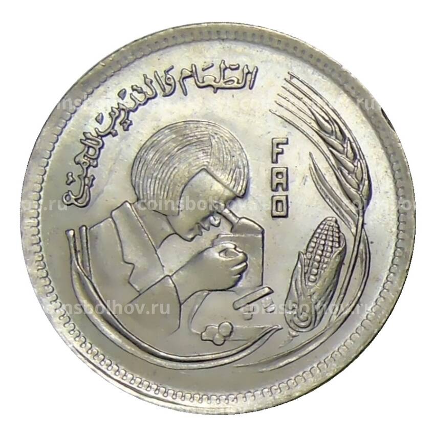 Монета 5 пиастров 1978 года Египет —  Продовольственная программа — ФАО