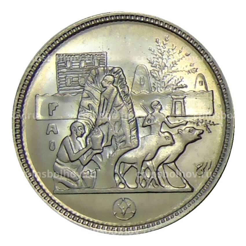 Монета 5 пиастров 1977 года Египет —  Продовольственная программа — ФАО