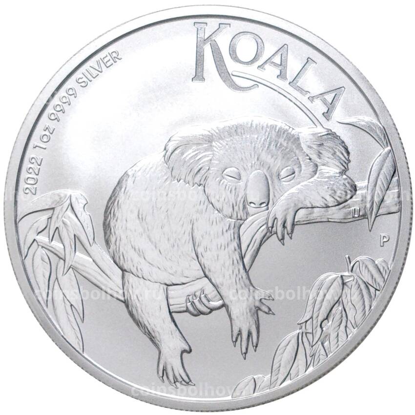 Монета 1 доллар 2022 года Австралия —  Австралийская Коала