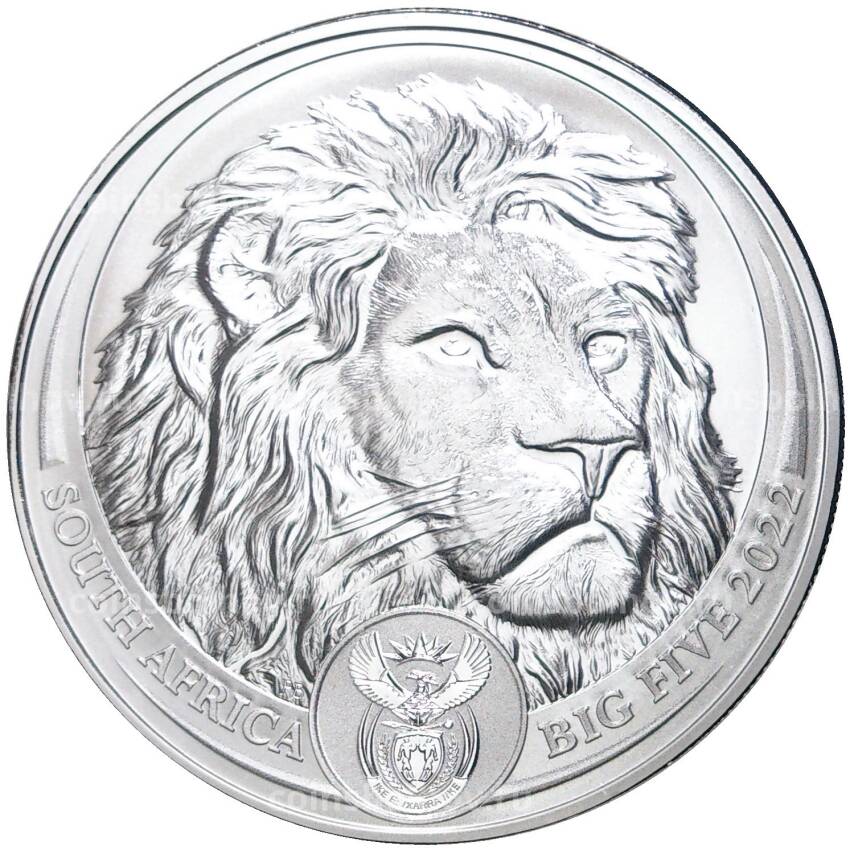 Монета 5 рэндов  2022 года ЮАР Большая Пятерка — Лев (в буклете)