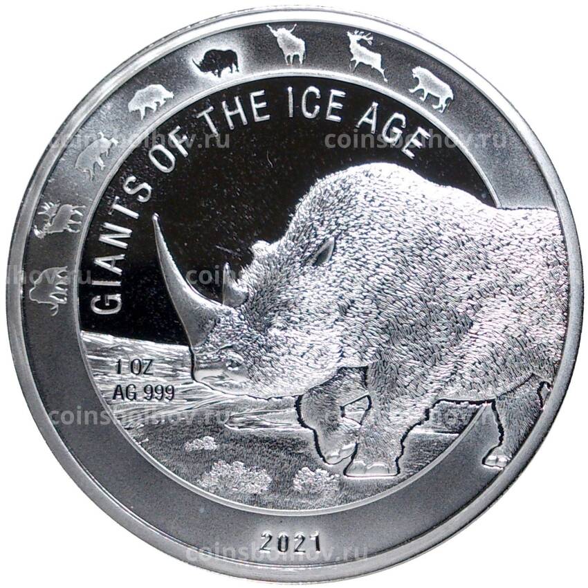 Монета 5 седи 2021 года Гана —  Гиганты Ледникового периода — Носорог
