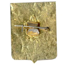 Значок Владимир (вид 2)