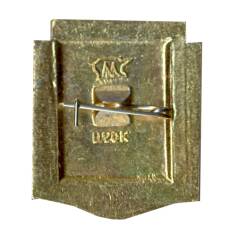 Значок Астрахань (вид 2)