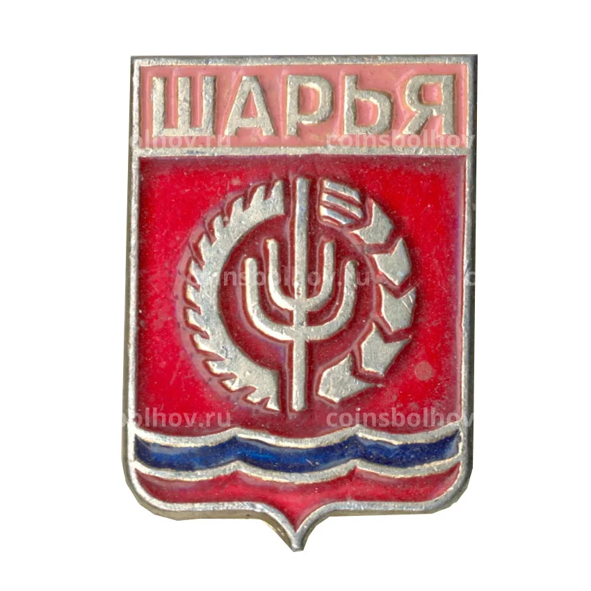 Значок Шарья
