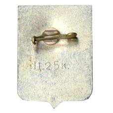 Значок Шарья (вид 2)