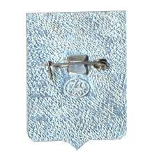 Значок Вольск (вид 2)