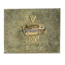 Значок Владимир (вид 2)