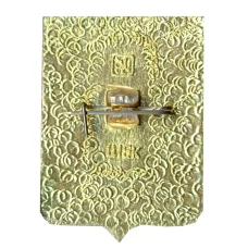 Значок Верхнеднепровск (вид 2)