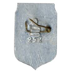 Значок Запорожье (вид 2)