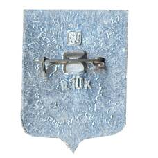 Значок Саратов (вид 2)