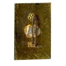 Значок Аралия (вид 2)