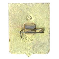 Значок Суздаль (вид 2)