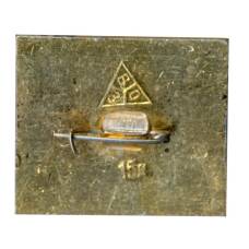 Значок Юрьев — Польский (вид 2)