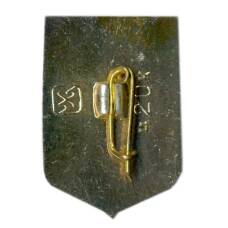 Значок Челябинск (вид 2)