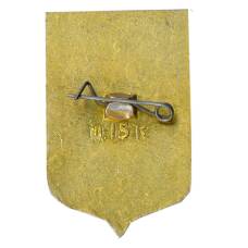 Значок Ессентуки (вид 2)