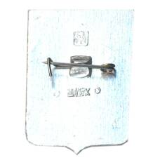 Значок Усмань (вид 2)