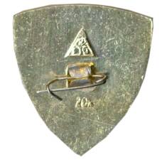 Значок Владимир (вид 2)