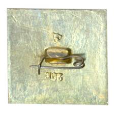 Значок Владимир (вид 2)