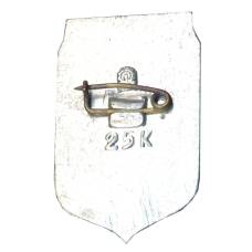 Значок Запорожье (вид 2)