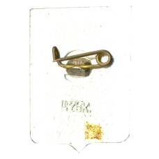 Значок Крестцы (вид 2)