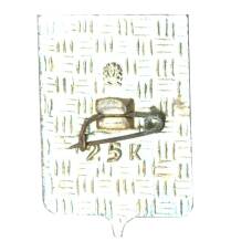 Значок Магадан (вид 2)