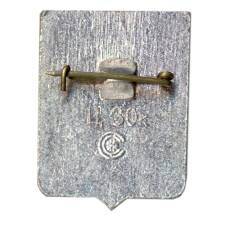 Значок Новосибирск (вид 2)