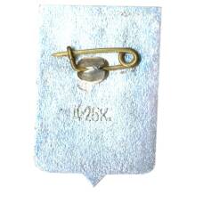 Значок Старая Русса (вид 2)