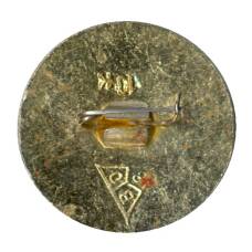 Значок Владимир (вид 2)