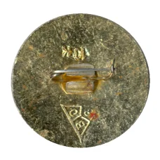 Значок Владимир (вид 2)