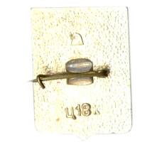 Значок Мглин (вид 2)