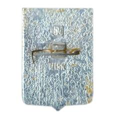 Значок Шацк (вид 2)