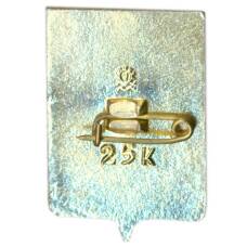 Значок Копейск (вид 2)