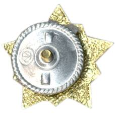 Значок Воин-спортсмен II ступень (вид 2)