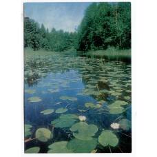 Открытка Архангельская область — Сийские озера (аверс)