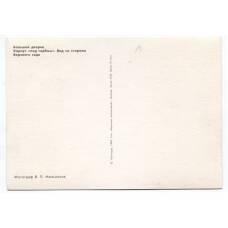 Открытка Петродворец — Большой дворец — Корпус «под гербом» (вид 2)