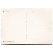 Открытка Петродворец — Большой каскад. Статуя «Волхов» (вид 2)