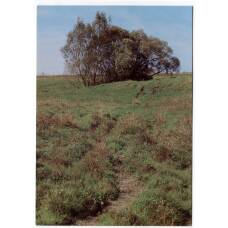 Открытка Ракиты над «Родником Насти Прокудиной»