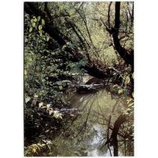 Открытка река Гостомля