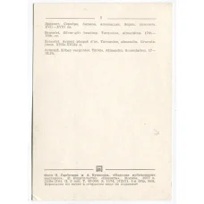 Открытка Браслет. Серебро, бирюза, альмандин. Зернь, позолота XVII-XVIII век. (реверс)