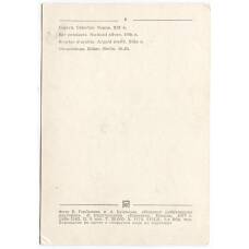 Открытка Серьги.Серебро.Чернь. XIX века. (вид 2)