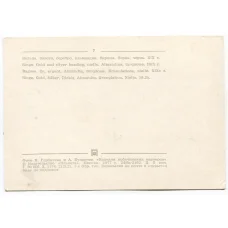 Открытка Кольца. Золото,серебро, альмандин,бирюза. Зернь,чернь XIX век (вид 2)