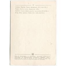 Открытка Кувшин.Серебро,чернь,гравировка. 60-е годы XX века (вид 2)